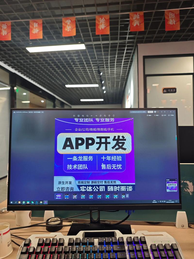 软件定制
